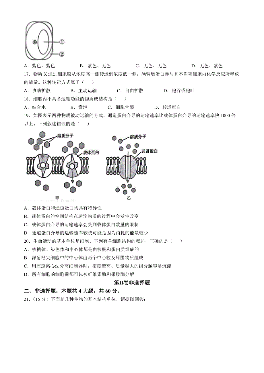 河南省信阳市罗山县2024-2025学年高一上学期11月期中生物Word版含解析_第4页