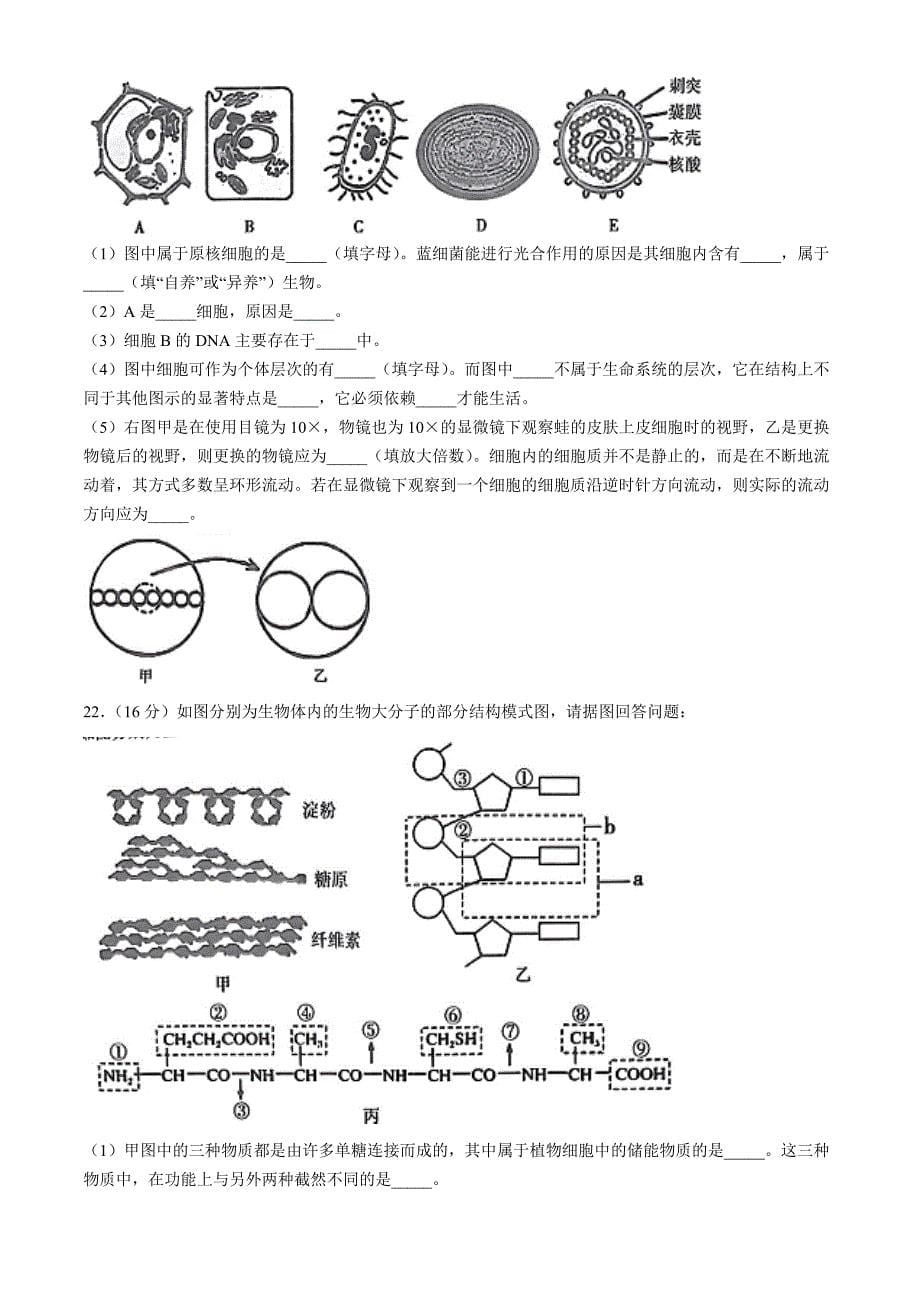 河南省信阳市罗山县2024-2025学年高一上学期11月期中生物Word版含解析_第5页