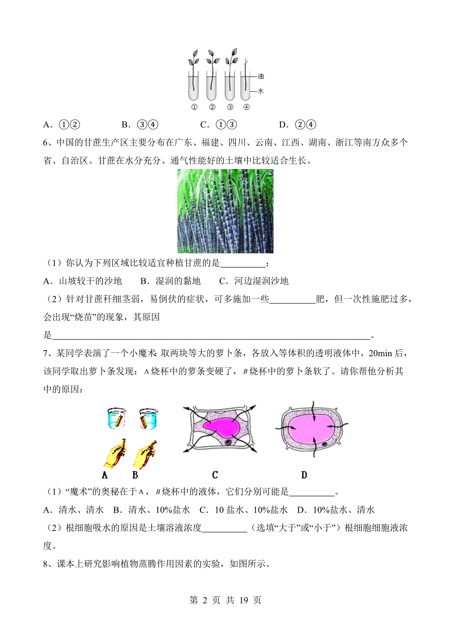 【八年级上册华师大科学】4.2 水在植物体中的代谢 同步练习_第2页