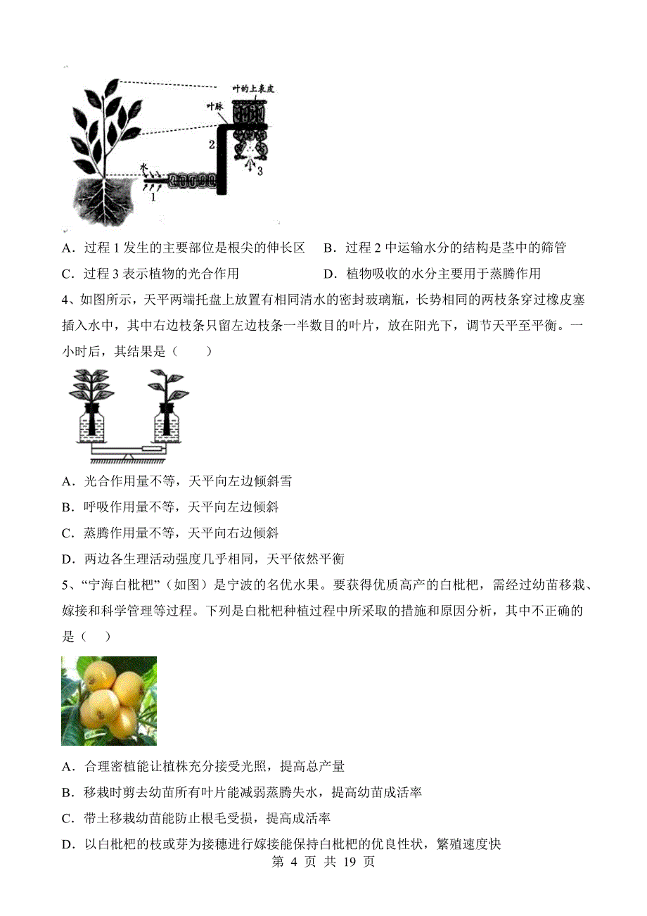 【八年级上册华师大科学】4.2 水在植物体中的代谢 同步练习_第4页