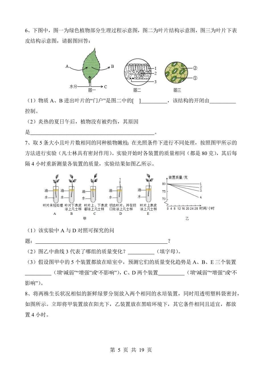 【八年级上册华师大科学】4.2 水在植物体中的代谢 同步练习_第5页