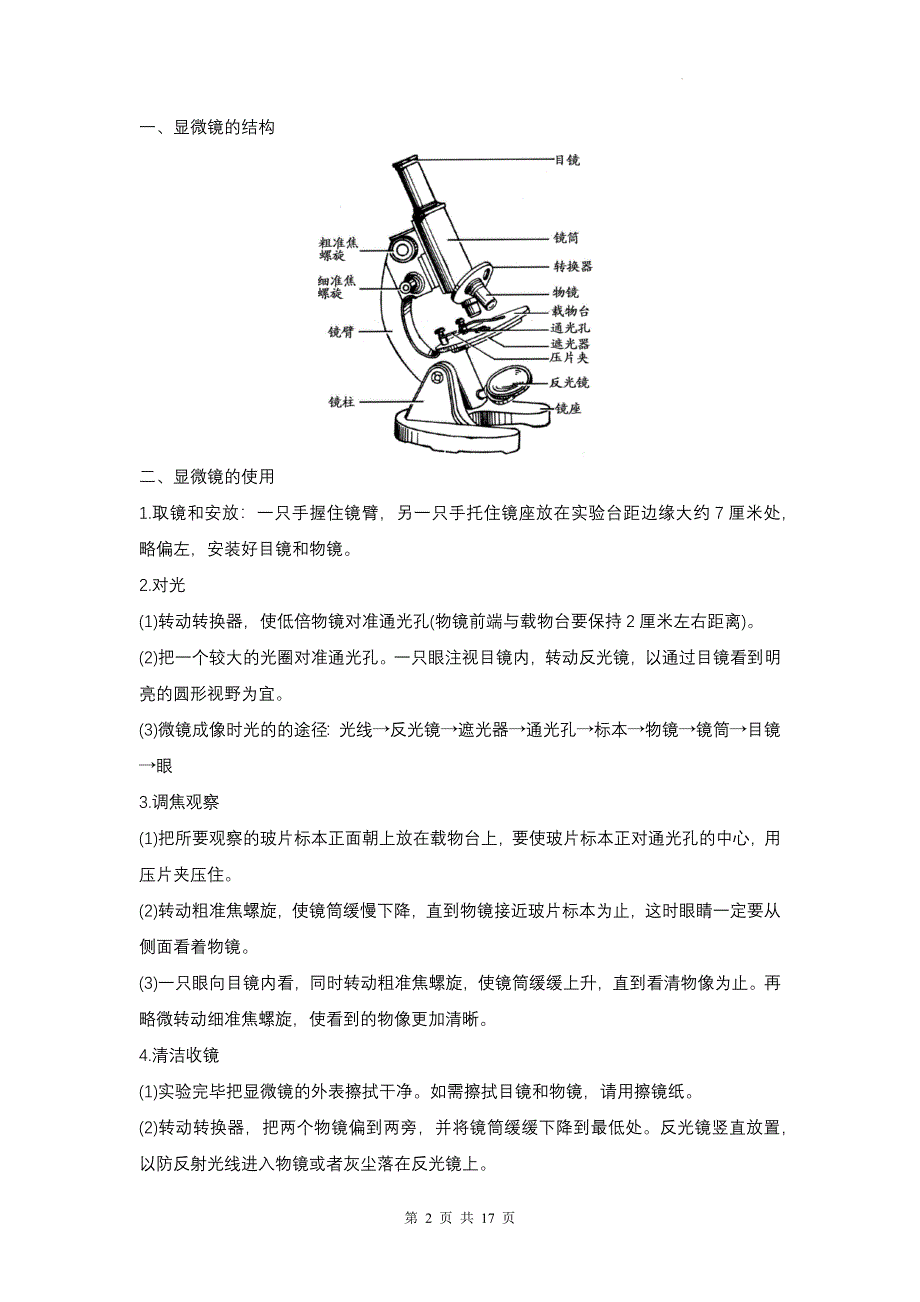 人教版（2024新版）七年级上册生物知识点期末复习提纲_第2页