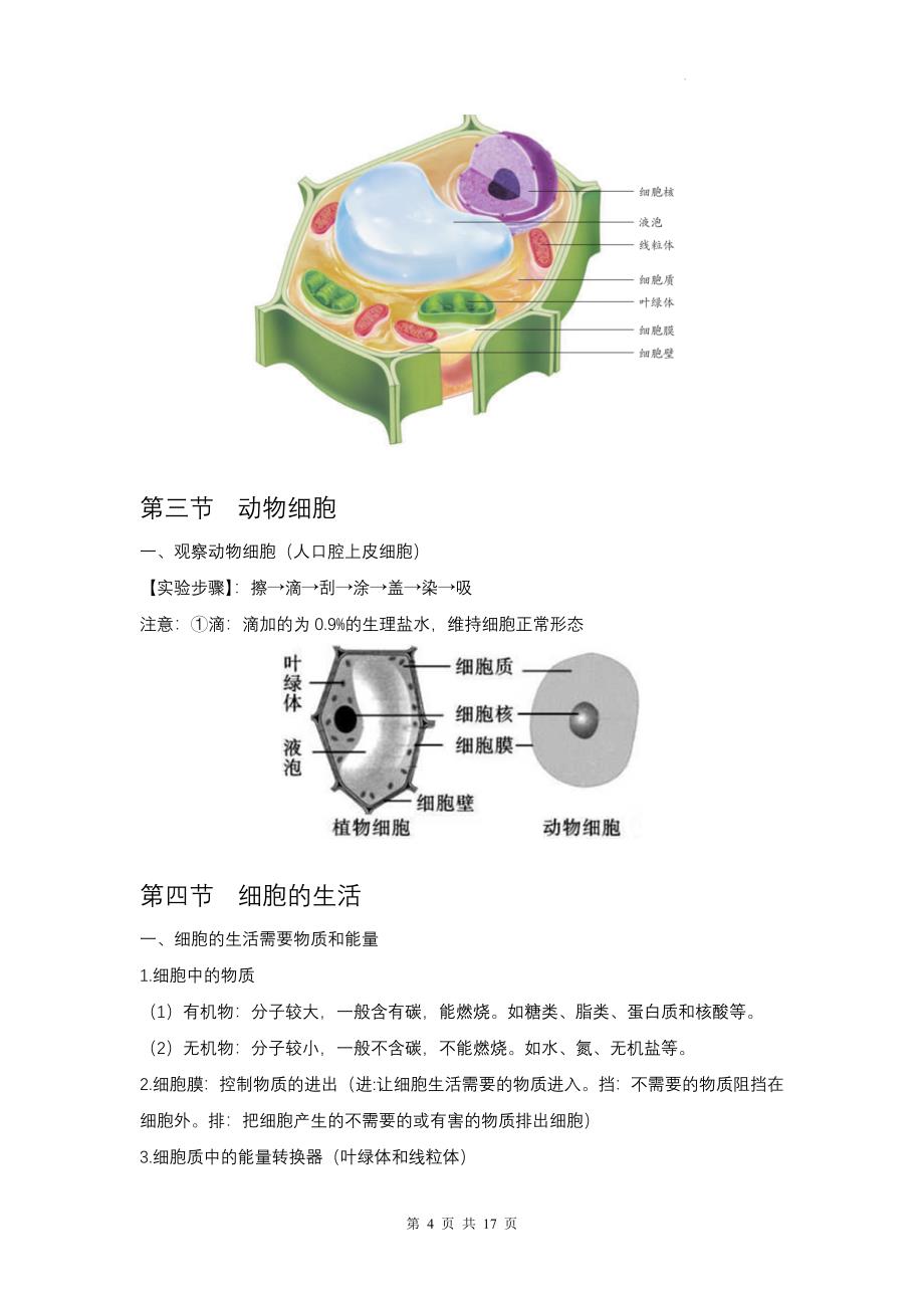 人教版（2024新版）七年级上册生物知识点期末复习提纲_第4页