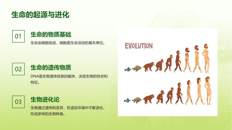 生命的价值与意义——中学生主题班会优质课件_第4页