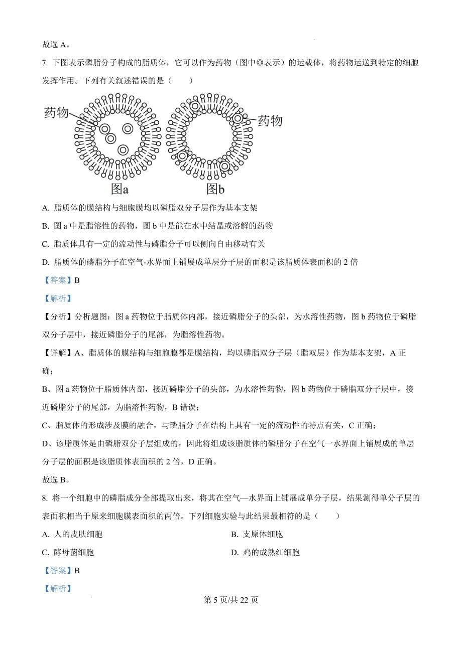 黑龙江省鹤岗市萝北县萝北县高级中学2024-2025学年高一上学期11月期中生物（解析版）_第5页