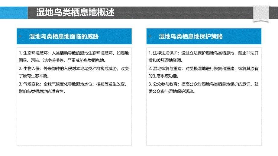 湿地鸟类栖息地功能-洞察分析_第5页