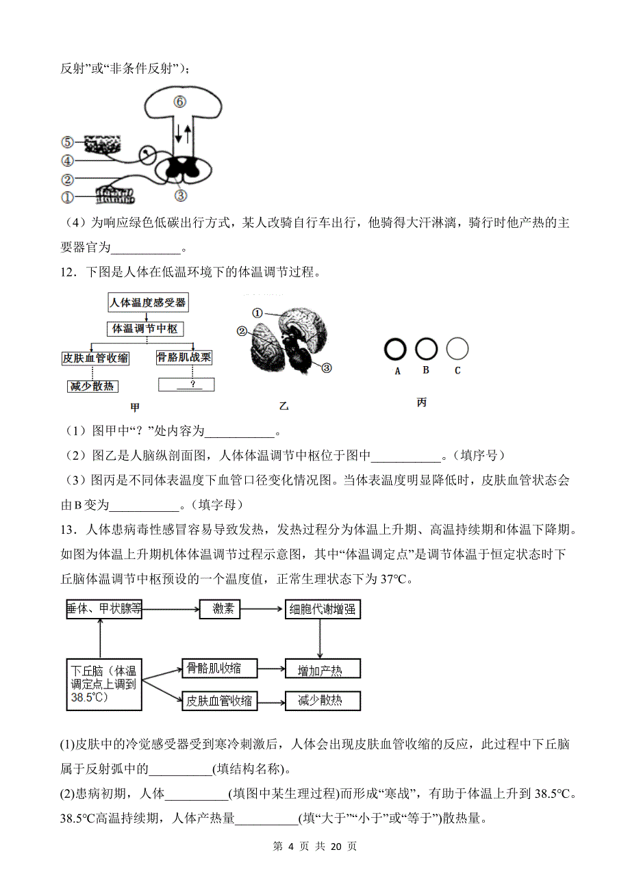 【八年级上册科学】3.5 体温的控制 同步练习_第4页