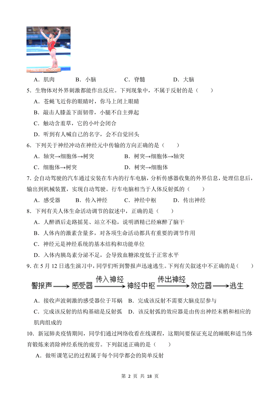 【八年级上册科学】3.3 神经调节 同步练习_第2页