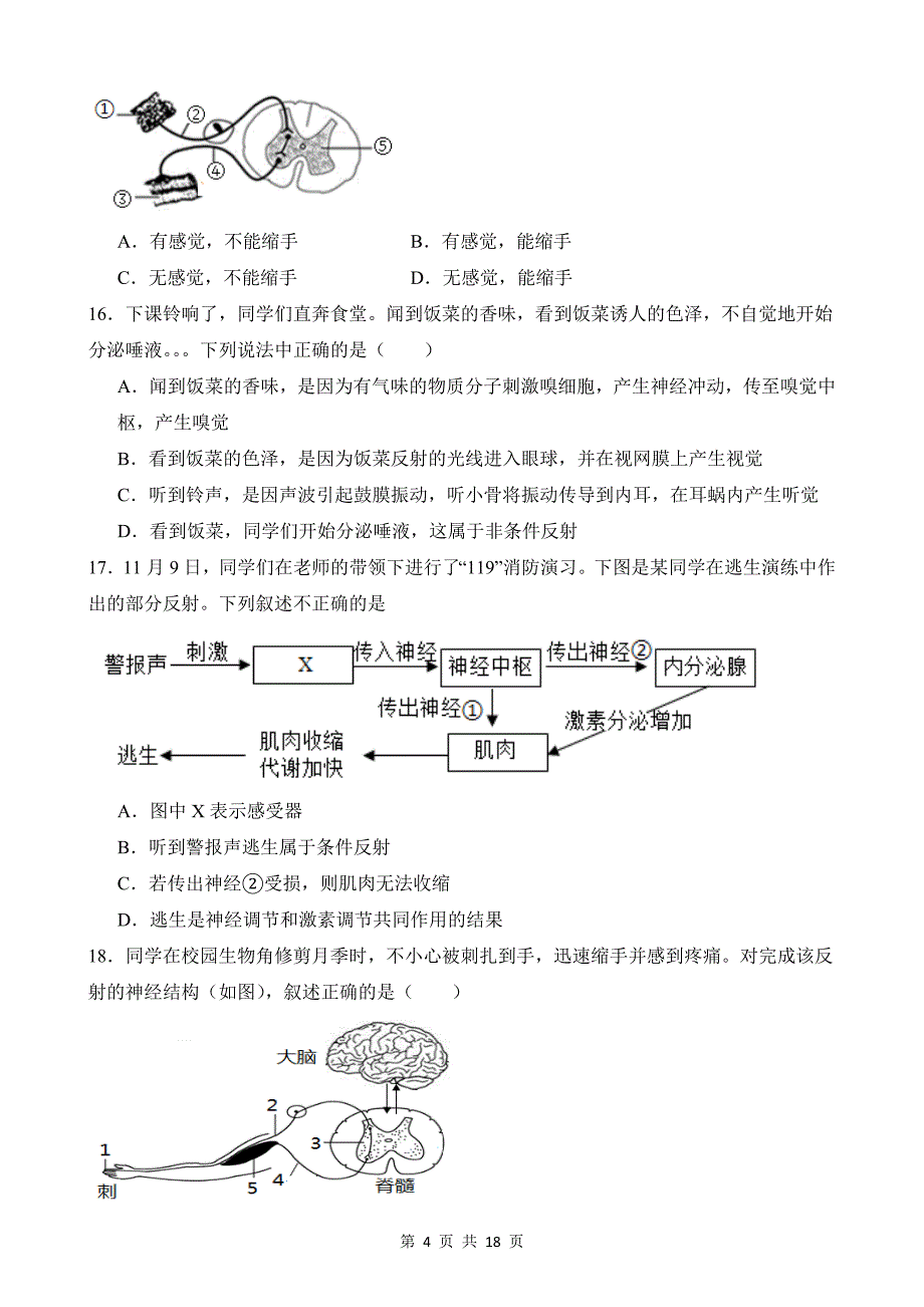 【八年级上册科学】3.3 神经调节 同步练习_第4页