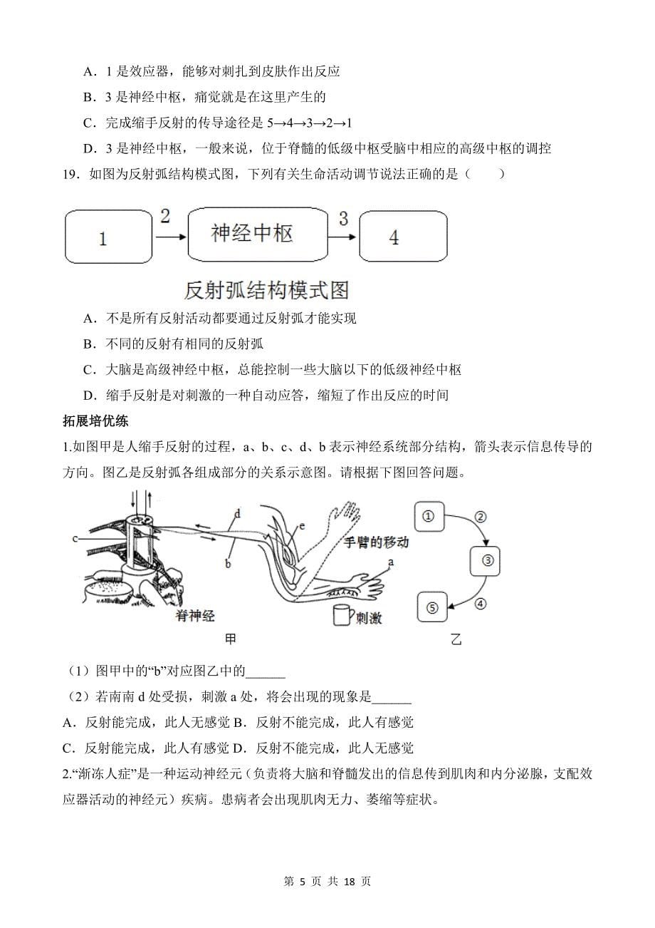 【八年级上册科学】3.3 神经调节 同步练习_第5页