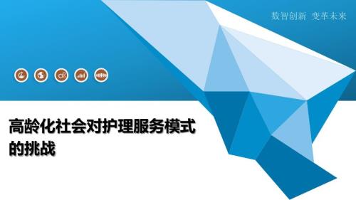 高龄化社会对护理服务模式的挑战-洞察分析