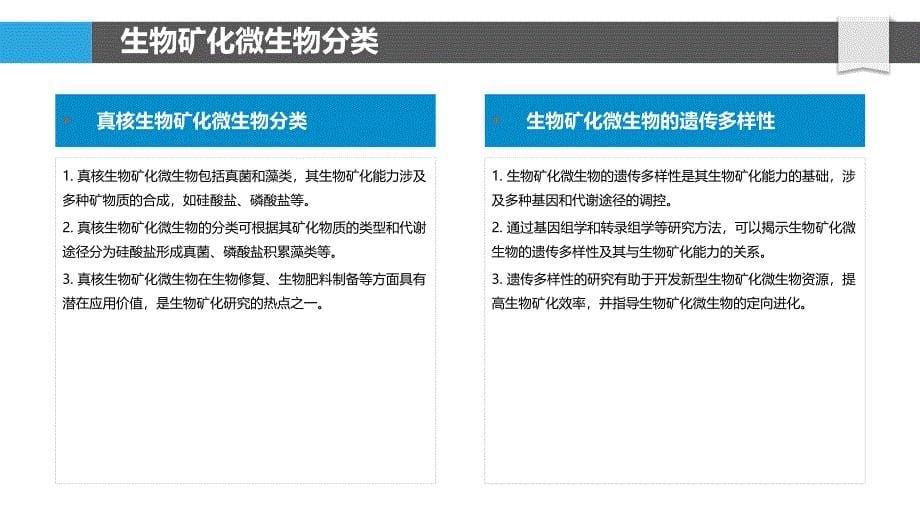 生物矿化微生物生态-洞察分析_第5页