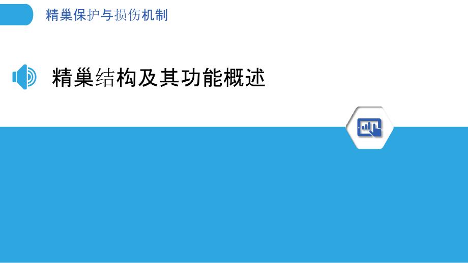 精巢保护与损伤机制-洞察分析_第3页