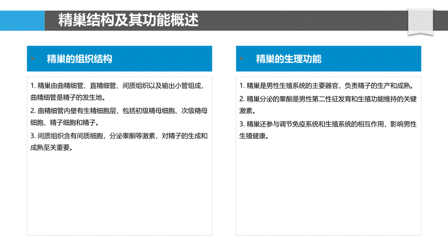 精巢保护与损伤机制-洞察分析_第4页