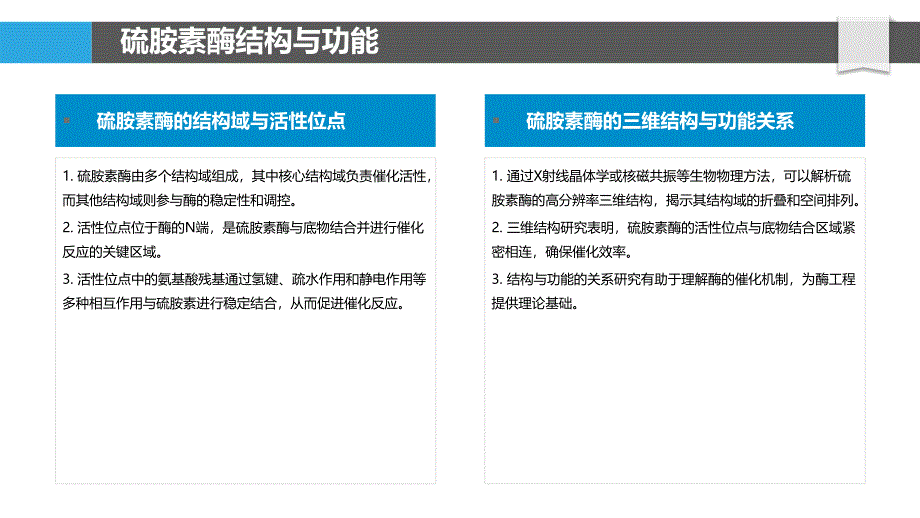 硫胺素酶与酶工程研究-洞察分析_第4页