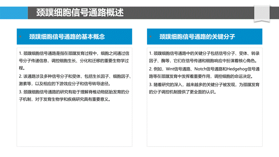 颈蹼细胞信号通路-洞察分析_第4页