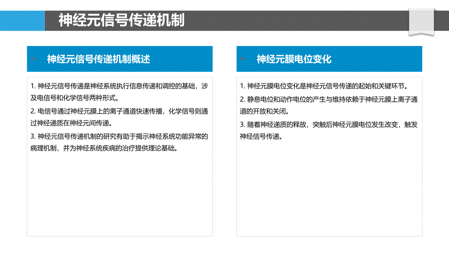 神经元信号传递与调控-洞察分析_第4页