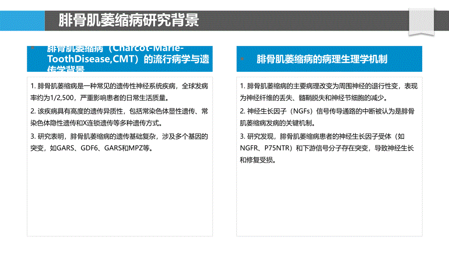 腓骨肌萎缩细胞模型构建-洞察分析_第4页