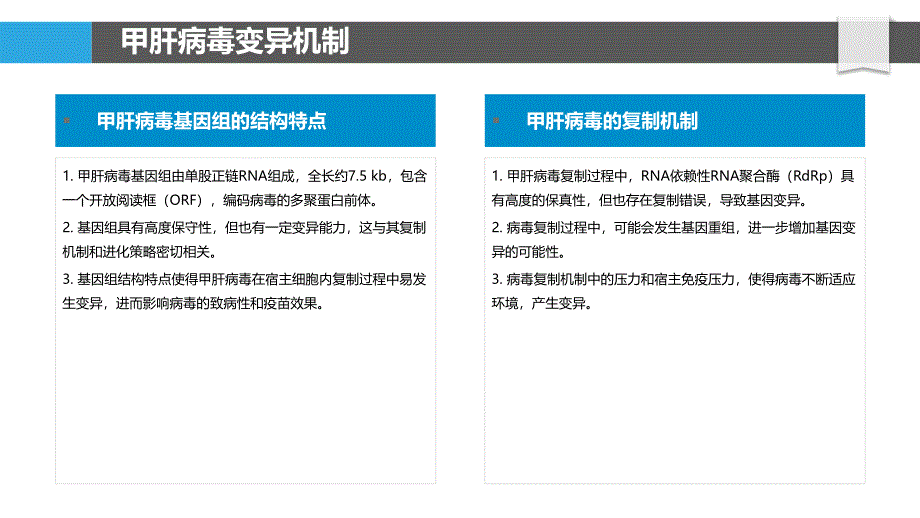 甲肝病毒变异与疫苗-洞察分析_第4页