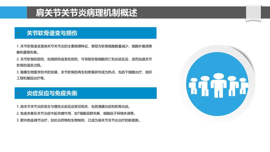 肩关节关节炎病理生理学研究-洞察分析_第4页