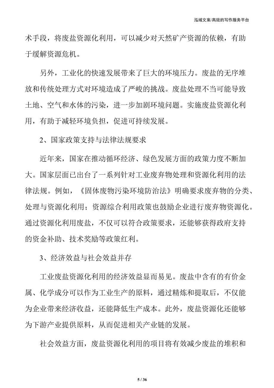 工业废盐资源化利用项目招商引资报告_第5页