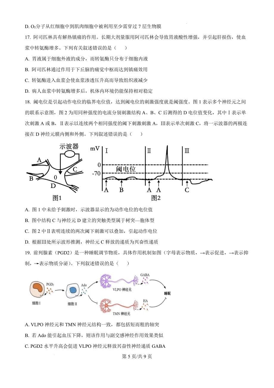 河南省周口市鹿邑县2024-2025学年高二上学期10月月考生物（原卷版）_第5页