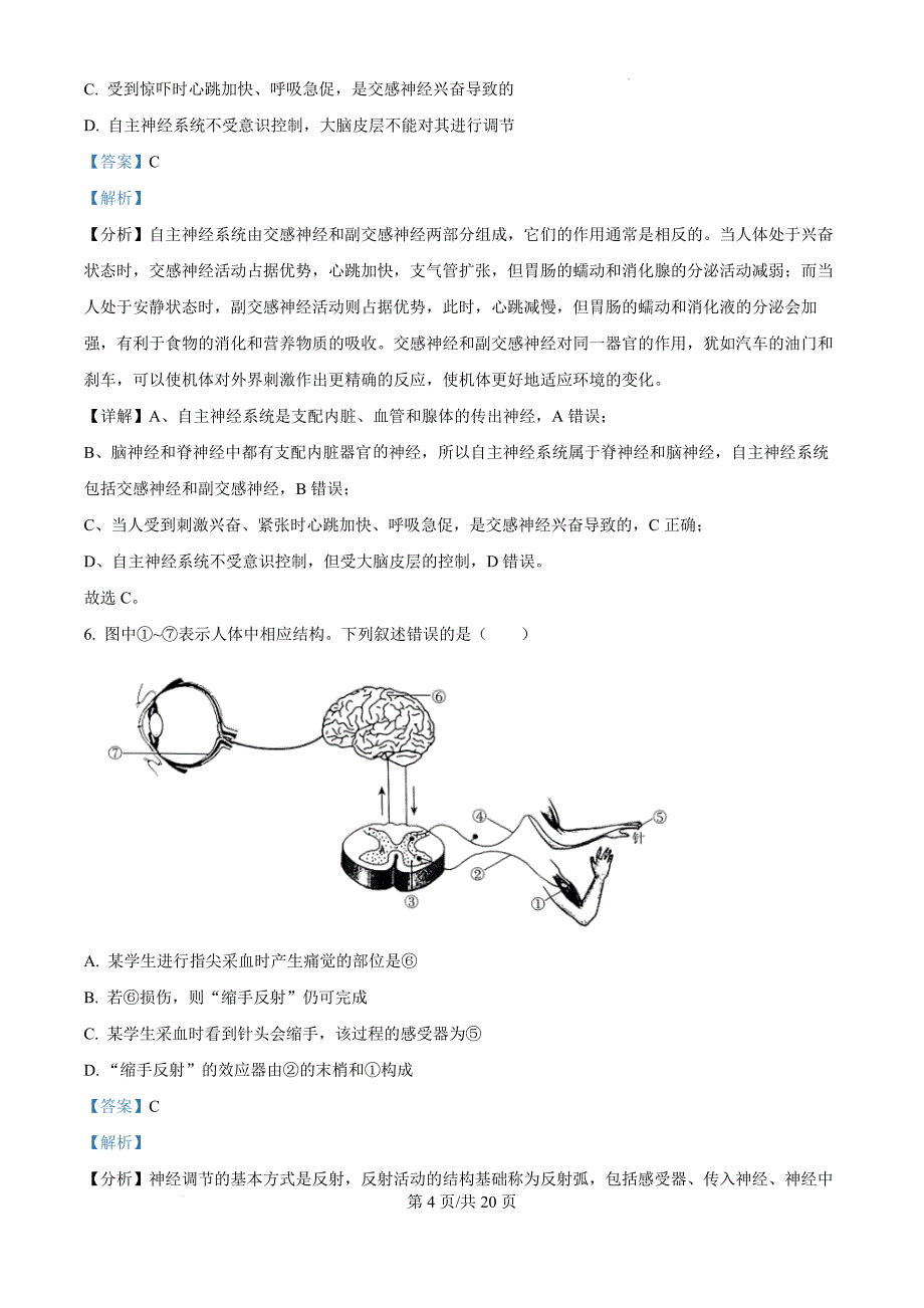 河南省十校2024-2025学年高二上学期10月月考生物（解析版）_第4页