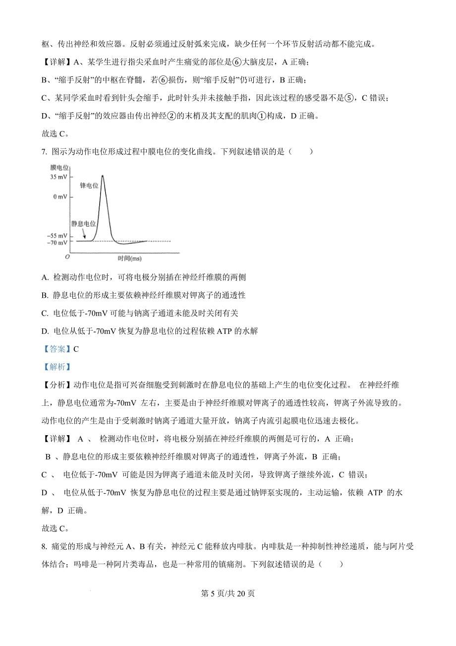 河南省十校2024-2025学年高二上学期10月月考生物（解析版）_第5页