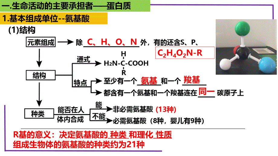 2023届生物一轮复习必修一（新教材）06蛋白质复习新教材_第4页