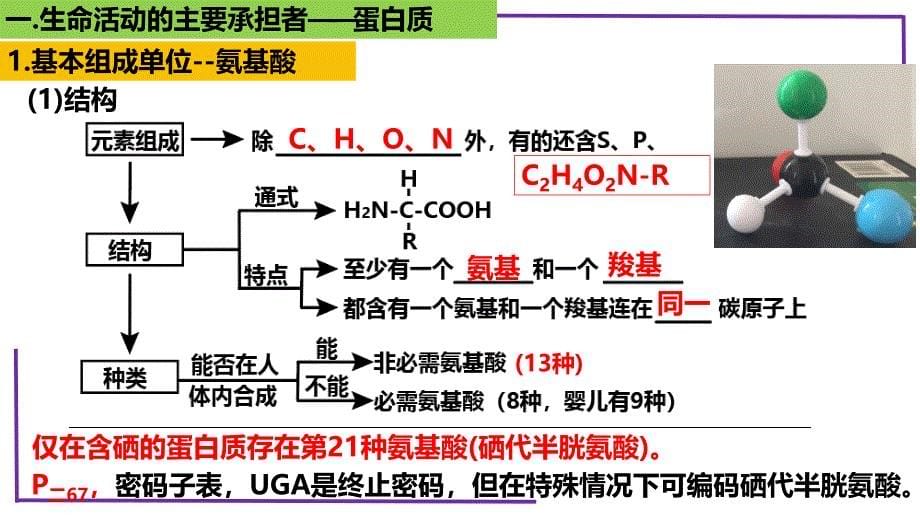 2023届生物一轮复习必修一（新教材）06蛋白质复习新教材_第5页