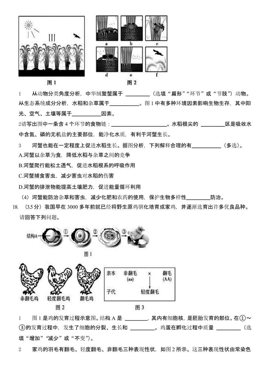 2024年江苏省南通市中考生物试卷（含答案）_第5页