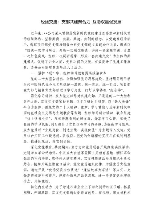 经验交流：支部共建聚合力 互助双赢促发展