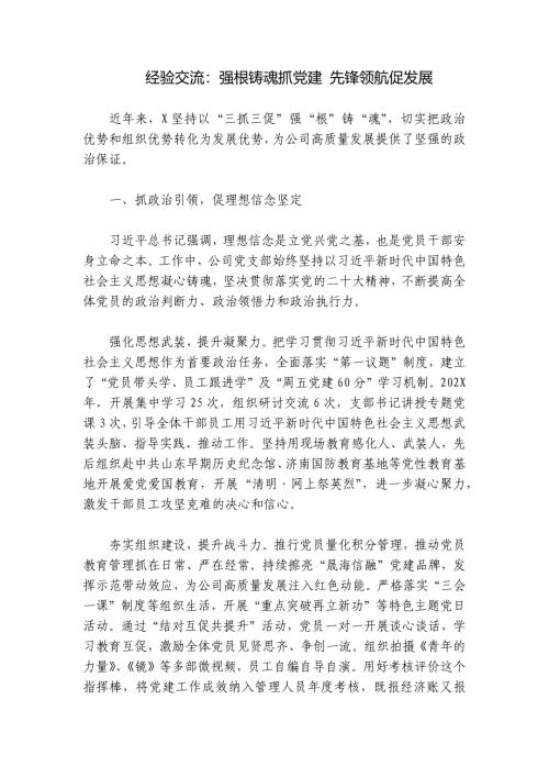 经验交流：强根铸魂抓党建 先锋领航促发展