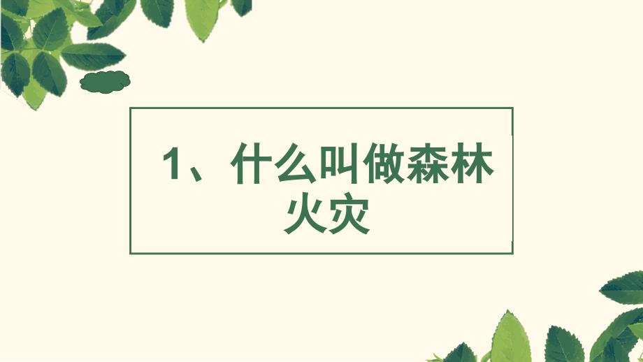 森林防火初中主题班会优质课件_第3页