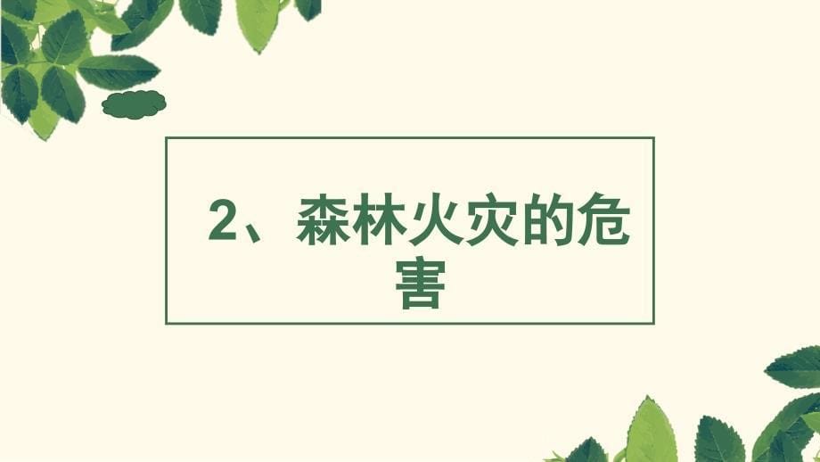 森林防火初中主题班会优质课件_第5页