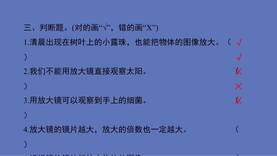 教科版小学六年级科学上册第一单元第一课《放大镜》作业课件_第5页