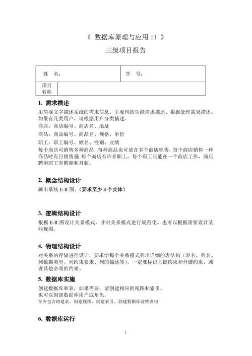 三级项目报告模板模板