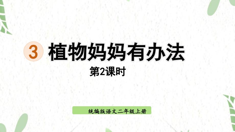 统编版语文二年级（上册）3.植物妈妈有办法 第2课时（2025版新教材）_第1页