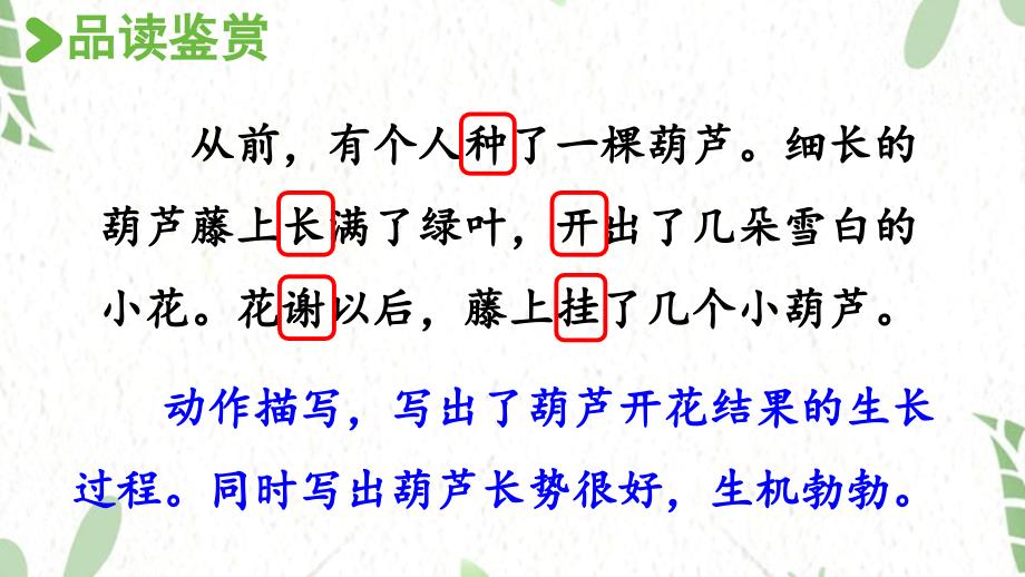 统编版语文二年级（上册）14.我要的是葫芦第2课时（2025版新教材）_第3页