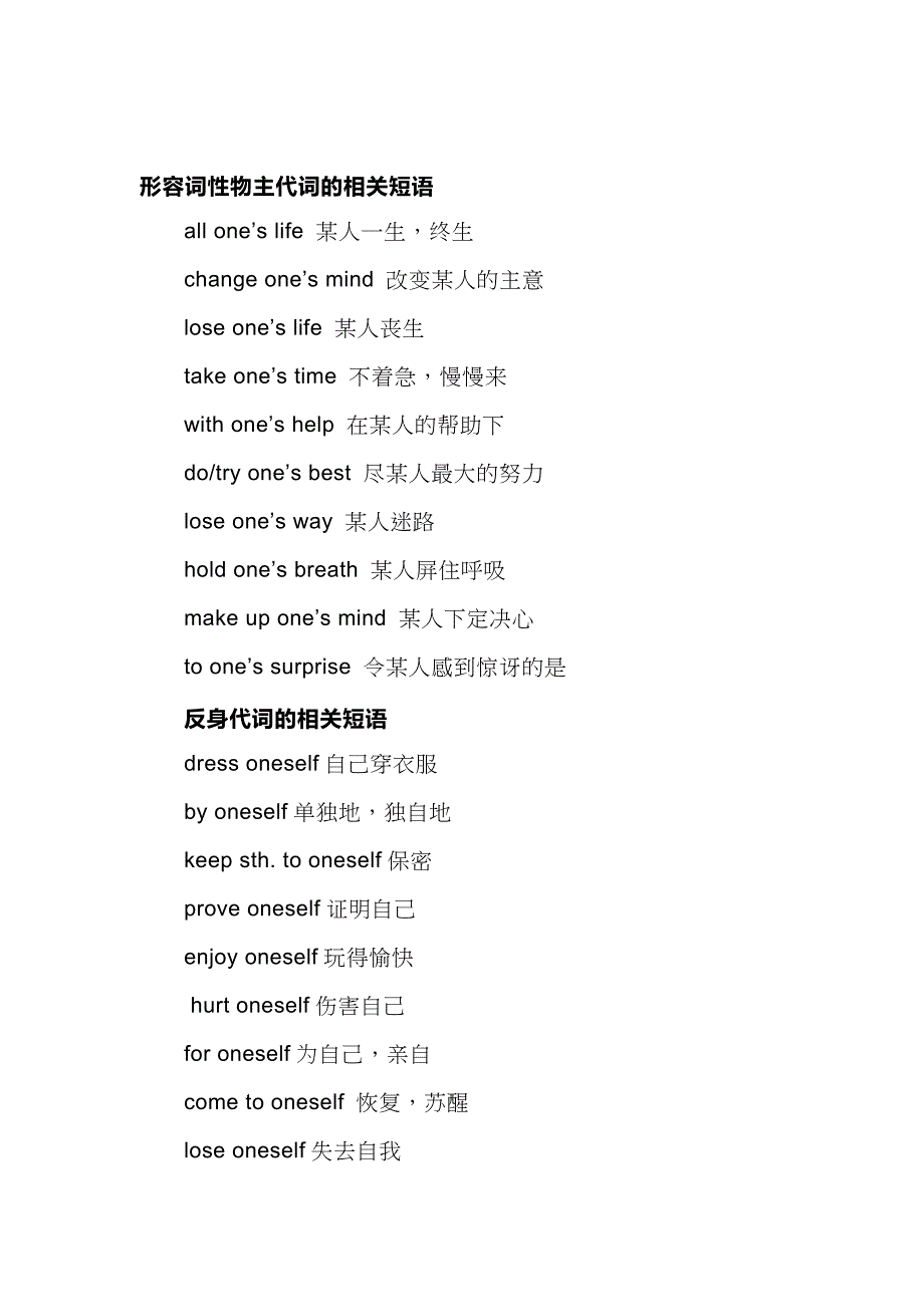 中考英语代词知识点及专项练习_第2页