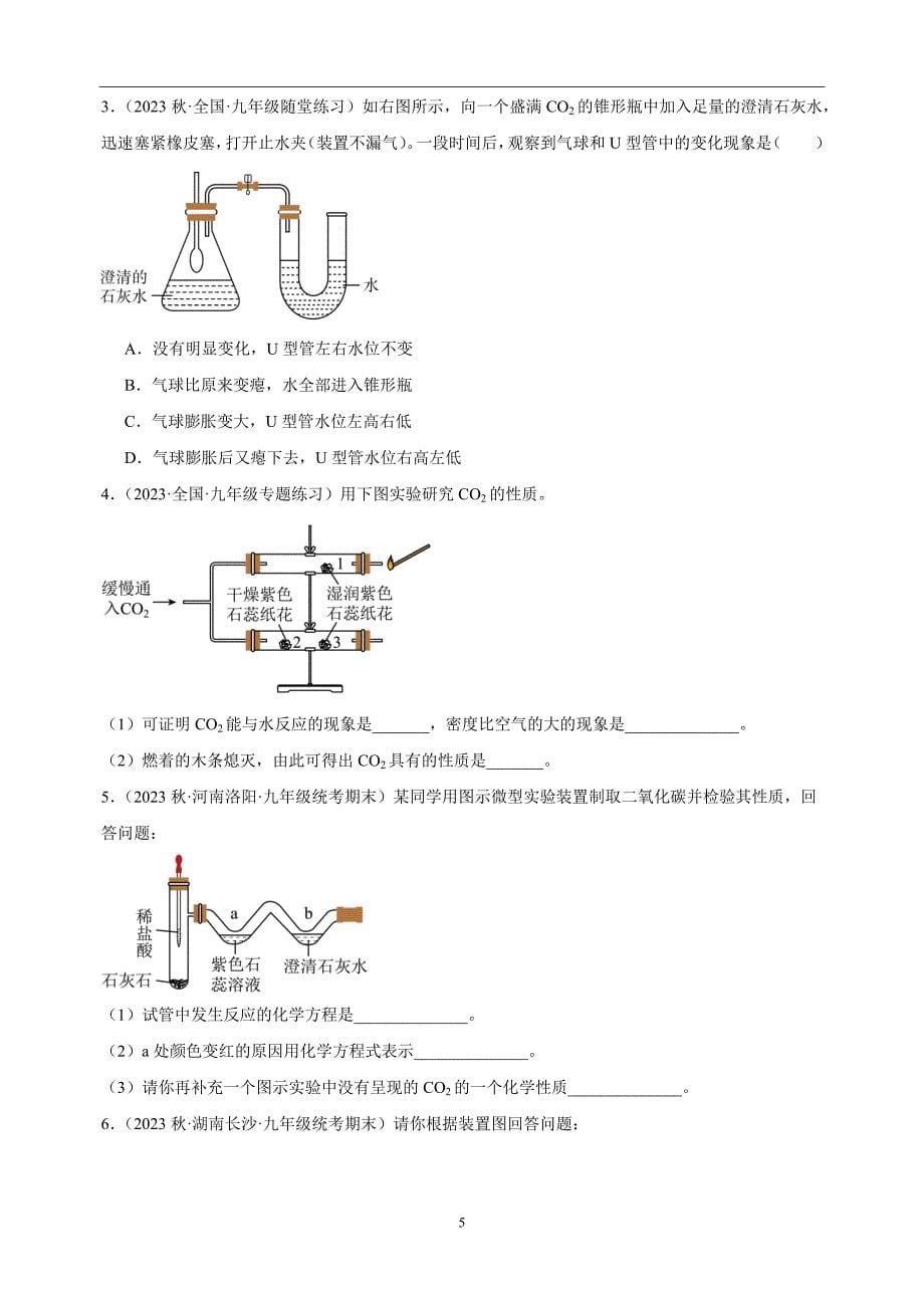 实验10 二氧化碳的实验室制取与性质-2023-2024学年九年级化学上册教材同步实验练习_第5页