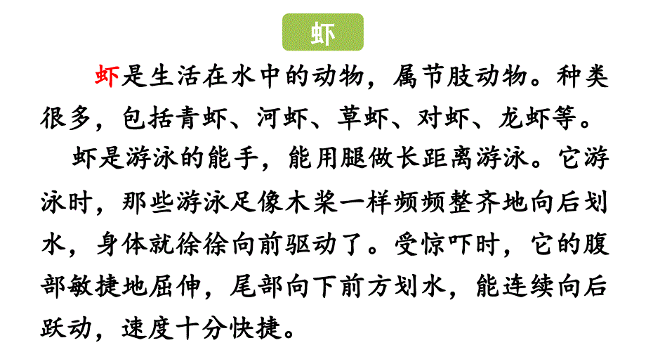 部编版三年级语文下册 第4单元15.《小虾》_第3页