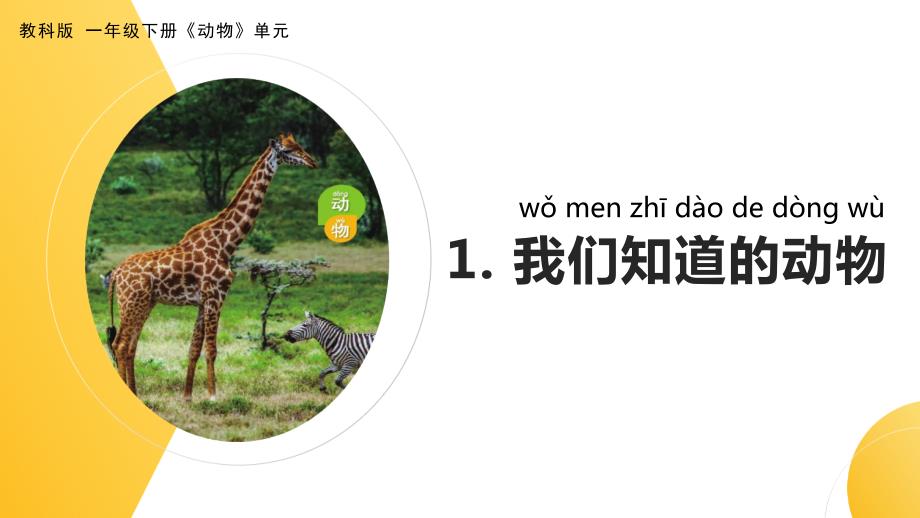 杭州教科版一年级下册科学第二单元《动物》全部课件（共6课时）_第1页