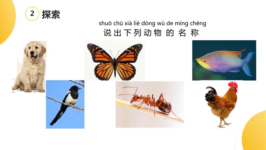 杭州教科版一年级下册科学第二单元《动物》全部课件（共6课时）_第3页