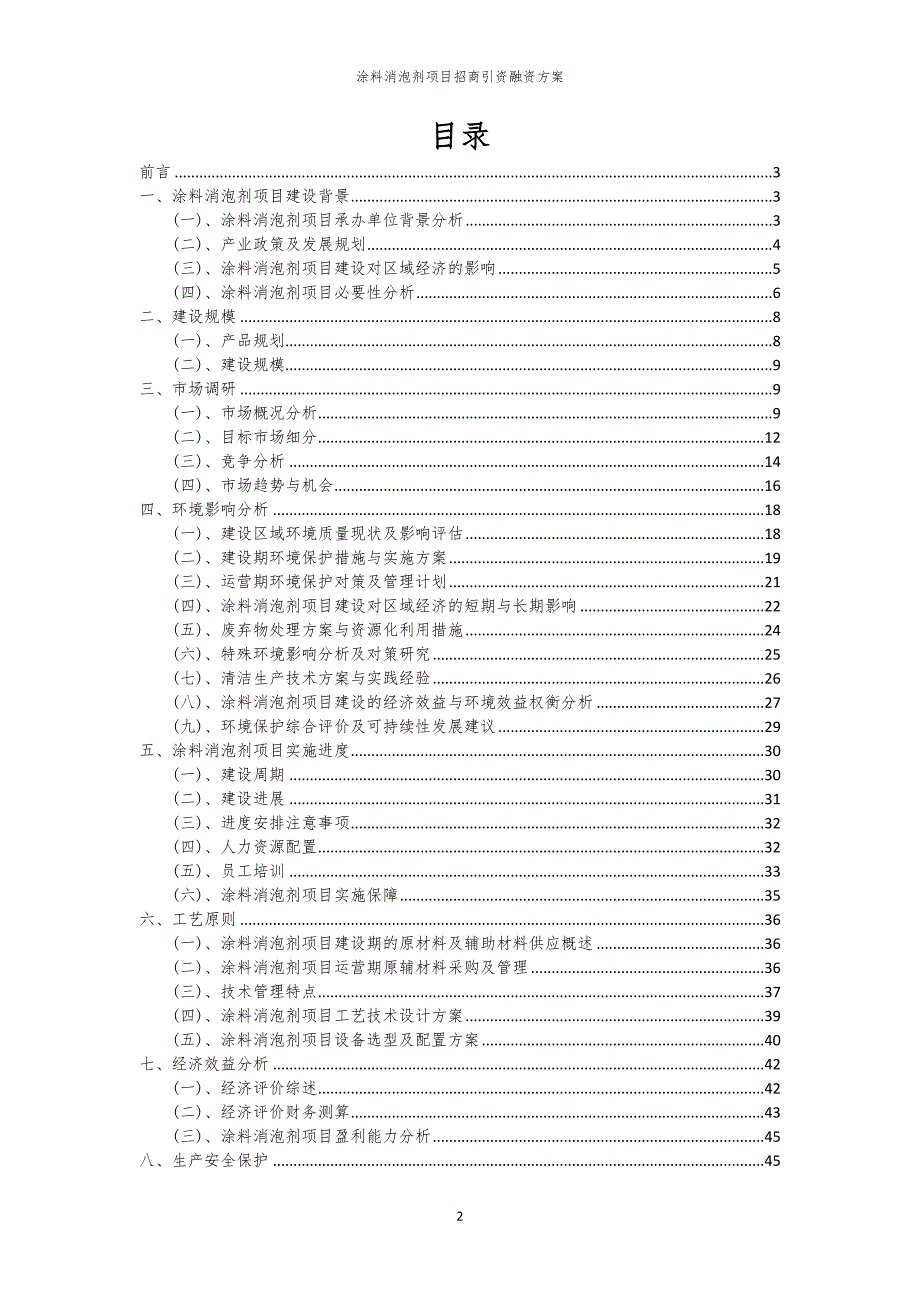 2023年涂料消泡剂项目招商引资融资方案_第2页