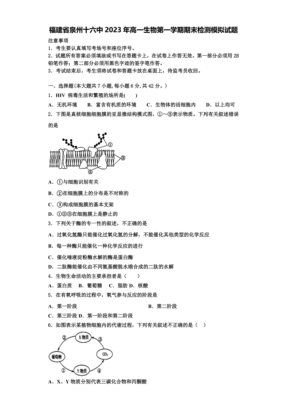 福建省泉州十六中2023年高一生物第一学期期末检测模拟试题含解析_第1页