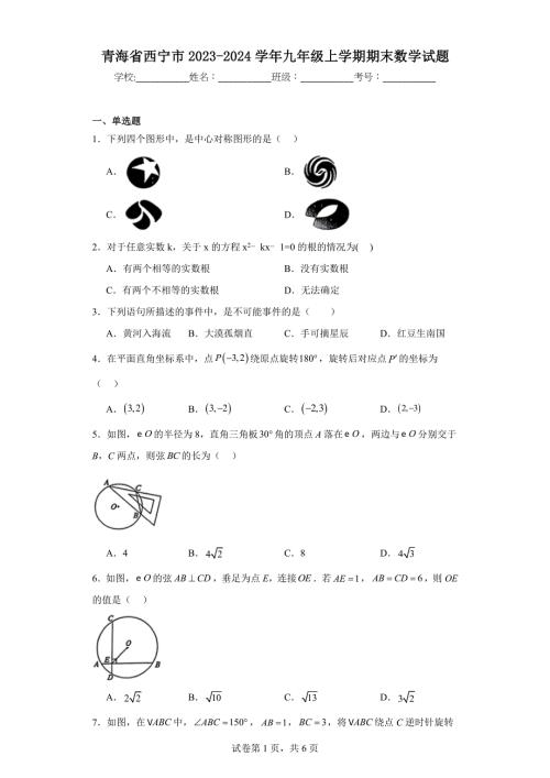 青海省西宁市2023-2024学年九年级上学期期末数学试题(含答案)