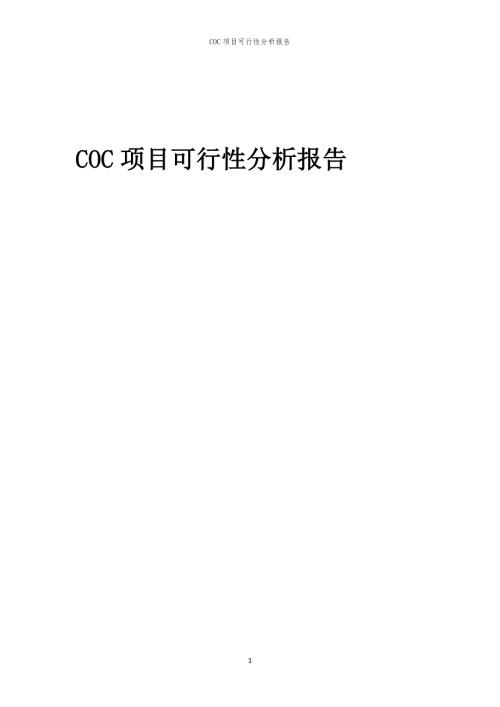 COC项目可行性分析报告