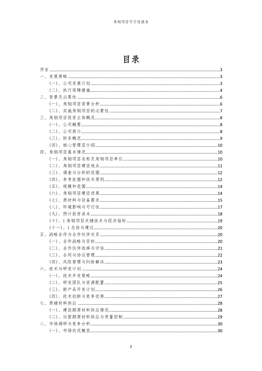 角钢项目可行性报告_第2页