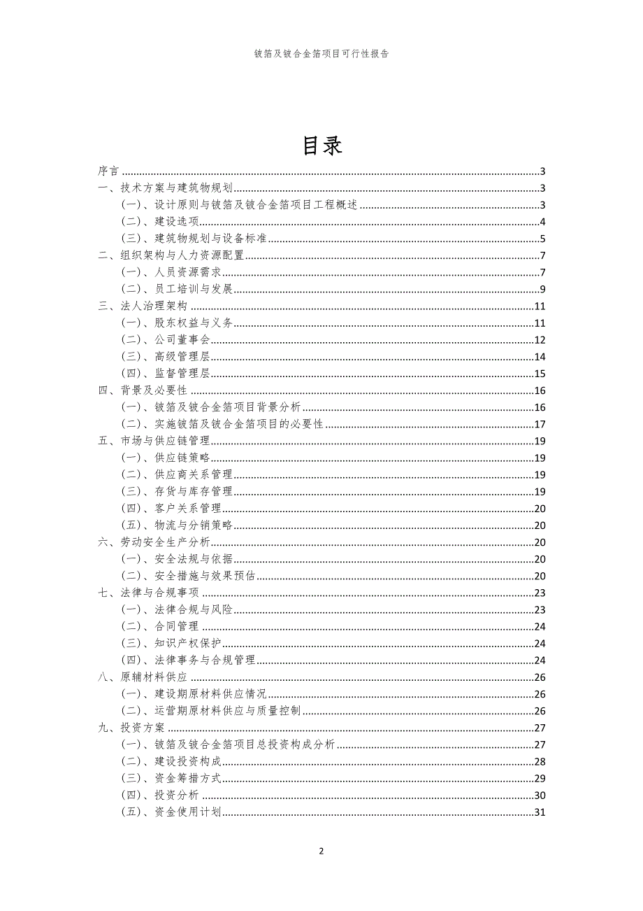 铍箔及铍合金箔项目可行性报告_第2页